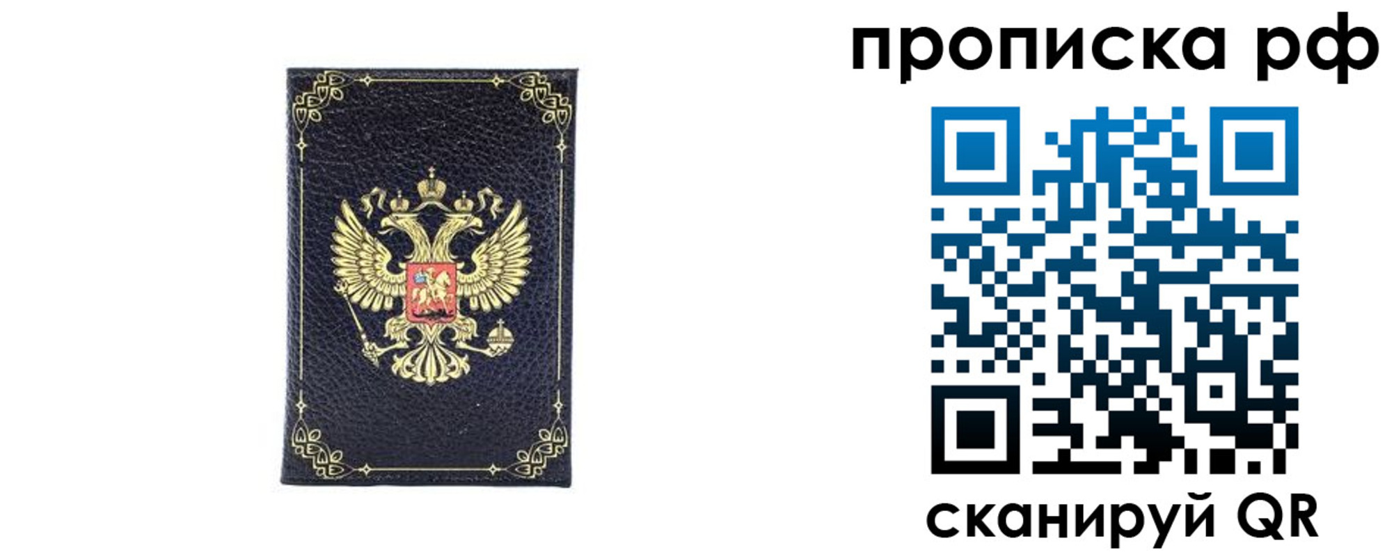 прописка для школы в Московской области